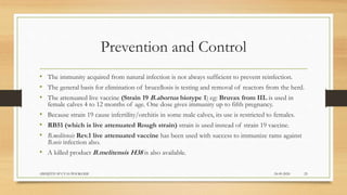 Prevention and Control
• The immunity acquired from natural infection is not always sufficient to prevent reinfection.
• The general basis for elimination of brucellosis is testing and removal of reactors from the herd.
• The attenuated live vaccine (Strain 19 B.abortus biotype 1) eg: Bruvax from IIL is used in
female calves 4 to 12 months of age. One dose gives immunity up to fifth pregnancy.
• Because strain 19 cause infertility/orchitis in some male calves, its use is restricted to females.
• RB51 (which is live attenuated Rough strain) strain is used instead of strain 19 vaccine.
• B.melitensis Rev.1 live attenuated vaccine has been used with success to immunize rams against
B.ovis infection also.
• A killed product B.melitensis H38 is also available.
24-09-2020ABHIJITH SP CVAS POOKODE 25
 