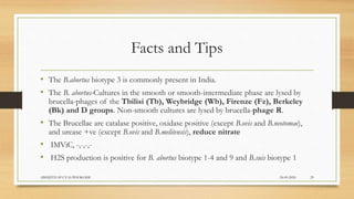 Facts and Tips
• The B.abortus biotype 3 is commonly present in India.
• The B. abortus-Cultures in the smooth or smooth-intermediate phase are lysed by
brucella-phages of the Tbilisi (Tb), Weybridge (Wb), Firenze (Fz), Berkeley
(Bk) and D groups. Non-smooth cultures are lysed by brucella-phage R.
• The Brucellae are catalase positive, oxidase positive (except B.ovis and B.neotomae),
and urease +ve (except B.ovis and B.melitensis), reduce nitrate
• IMViC, -,-,-,-
• H2S production is positive for B. abortus biotype 1-4 and 9 and B.suis biotype 1
24-09-2020ABHIJITH SP CVAS POOKODE 29
 