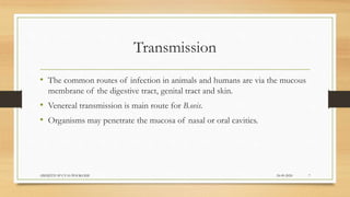 Transmission
• The common routes of infection in animals and humans are via the mucous
membrane of the digestive tract, genital tract and skin.
• Venereal transmission is main route for B.ovis.
• Organisms may penetrate the mucosa of nasal or oral cavities.
24-09-2020ABHIJITH SP CVAS POOKODE 7
 