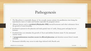 Pathogenesis
• The Brucellosis is essentially disease of the sexually mature animal, the predilection sites being the
reproductive tracts of males and females especially the pregnant uterus.
• Allantoic factors such as erythritol (Polyhydric OH), steroid hormones and other substances favor
the growth of most brucellae.
• Erythritol is present in the placenta and male genital tract of cattle, sheep, goats and pigs but not
humans.
• Erythritol does not stimulate the growth of B.ovis and inhibits B.abortus strain 19, the attenuated
vaccine strain.
• A pyogranulomatous reaction occurs in affected placentae and abortion occurs from 6 month
onwards.
• Permanent infertility may occur in male dogs infected with Brucella canis.
24-09-2020ABHIJITH SP CVAS POOKODE 9
 