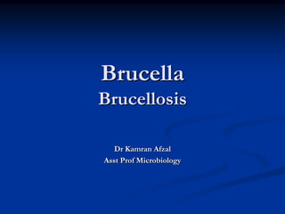 Brucella
Brucellosis

   Dr Kamran Afzal
Asst Prof Microbiology
 