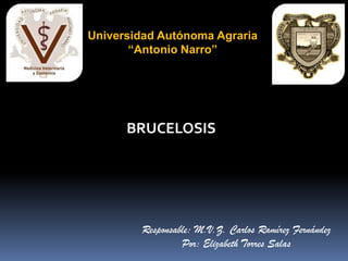 Universidad Autónoma Agraria
“Antonio Narro”

BRUCELOSIS

Responsable: M.V.Z. Carlos Ramírez Fernández
Por: Elizabeth Torres Salas

 