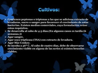  Contienen peptonas o triptonas a las que se adiciona extracto de 
levaduras, suero o sangre para favorecer el crecimiento de estas 
bacterias. Existen medios comerciales, cuya formulación reúne 
estos requisitos. 
 Se desarrolla al cabo de 4-5 días.(En algunos casos es tardía (6 
semanas.)) 
 Agar sangre. 
 Agar soya tripticasa (TSA) con extracto de levadura. 
 Agar Mac Conkey. 
 Se incuba a 36º C. Al cabo de cuatro días, debe de observarse 
crecimiento visible en alguna de las series si existen brucelas 
viables. 
 