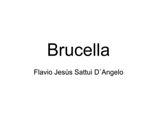 Brucella
Flavio Jesùs Sattui D`Angelo
 