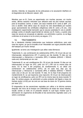abortos. Además, la respuesta de los anticuerpos a la vacunación interfiere en
el diagnóstico de la infección natural. (20)
Mientras que en B. Canis se experimento con muchas vacunas, sin mucho
existo, últimos estudios indicarían que utilizaran esta vez dos nuevas vacunas
para la brucelosis canina, a saber, una cepa mutante de B. canis Δ vjbR y B.
ovis Δ abcBA. Esta última cepa de vacuna ha sido desarrollada por nuestro
grupo aprovechando las similitudes antigénicas entre B. canis y B ovis., Una
investigación experimental demostró que la vacuna candidata B. ovis Δ abcBA
protege contra el desafío experimental de ratones con B. Canis, y cuando esta
cepa de vacuna se encapsula en alginato y se administra a perros, no se llega
a eliminar en el semen ni en la orina y es segura. (11)
14. TRATAMIENTO
Se a intentando distintos tratamientos que involucran antibióticos, pero solo
cesa los signos, ya que la brucella al ser intracelular aun sigue presente dentro
del huésped por mucho tiempo
Igualmente se tomo una investigación que utilizo estos fármacos:
Tratamiento A, una combinación de oxitetraciclina (OTC), 30 ml por día por vía
intramuscular, estreptomicina (ST, 6 gramos por día durante 15 días por vía
intramuscular) y rifampicina e isoniazida (RFI), 6 tabletas (600mG + 300mG
cada uno) diariamente por vía oral.
Tratamiento B, se usó enrofloxacina (En, 30 ml por día durante 15 días por vía
intramuscular) en lugar de OTC, junto con ST y RFI con la misma tasa de
dosis. En la fase II del programa de mantenimiento A, se utilizó una
combinación de oxitetraciclina (OTC), 30 ml cada tres días por vía
intramuscular y rifampicina e isoniazida (RFI), 6 tabletas (600mG + 300mG
cada una) al día por vía oral durante 15 días. En la fase II del programa de
mantenimiento B, se usó bayrocina (una inyección, 30 ml por vía intramuscular)
en lugar de enrofloxacina, junto con RFI con la misma tasa de dosis durante 15
días. En ambos grupos, se administró un polvo protector del hígado a base de
hierbas (polvo Liv-52) por vía oral con una tasa de dosis de 10 gramos diarios
por vaca. (21)
El diagnostico de las secreciones vaginales por cultivo a la décima semana
después del inicio de la terapia con antibióticos de todas las vacas tratadas,
resulto siendo un éxito en el presente estudio lo cual logro mostrar que la
eliminación de organismos de Brucella en las secreciones vaginales cesó y no
volvió a comenzar.
 