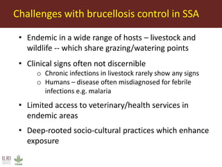 Seroepidemiology of Brucella spp. in humans and livestock in eastern Kenya: Opportunities for One Health interventions
