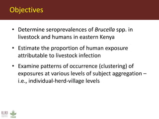 Seroepidemiology of Brucella spp. in humans and livestock in eastern Kenya: Opportunities for One Health interventions