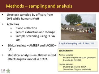 Seroepidemiology of Brucella spp. in humans and livestock in eastern Kenya: Opportunities for One Health interventions