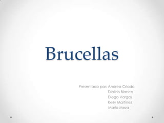 Brucellas
    Presentado por: Andrea Criado
                    Dialinis Blanco
                    Diego Vargas
                    Kelly Martínez
                    María Meza
 