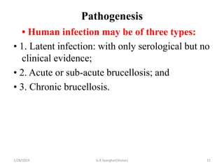 Pathogenesis
• Human infection may be of three types:
• 1. Latent infection: with only serological but no
clinical evidence;
• 2. Acute or sub-acute brucellosis; and
• 3. Chronic brucellosis.
1/28/2019 G.R Syangtan(Shulav) 15
 