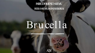 Brucella
IN
S
T
IT
U
T
OP
O
L
IT
É
C
N
IC
ON
A
C
IO
N
A
L
E
S
C
U
E
L
AN
A
C
IO
N
A
LD
EC
IE
N
C
IA
SB
IO
L
Ó
G
IC
A
S
A
Q
V
1
 