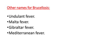Introduction:
• Exposure to infected animals and animal products causes the disease
in humans
• Rose Bengal test detects antibodies an against Brucella (anti-Brucella).
• Brucellosis was first diagnosed by Wright and Smith in 1897.
 