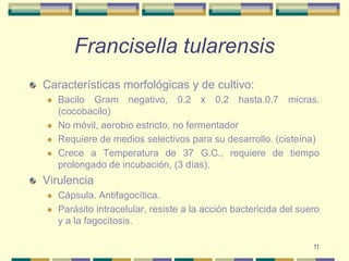 11Francisella tularensisCaracterísticas morfológicas y de cultivo:Bacilo Gram negativo, 0.2 x 0.2 hasta.0.7 micras. (cocobacilo)No móvil, aerobio estricto, no fermentadorRequiere de medios selectivos para su desarrollo. (cisteína)Crece a Temperatura de 37 G.C., requiere de tiempo prolongado de incubación, (3 días).VirulenciaCápsula. Antifagocítica. Parásito intracelular, resiste a la acción bactericida del suero y a la fagocitosis. 