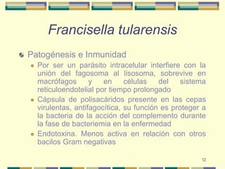 12Francisella tularensisPatogénesis e InmunidadPor ser un parásito intracelular interfiere con la unión del fagosoma al lisosoma, sobrevive en macrófagos y en células del sistema reticuloendotelial por tiempo prolongado Cápsula de polisacáridos presente en las cepas virulentas, antifagocítica, su función es proteger a la bacteria de la acción del complemento durante la fase de bacteriemia en la enfermedadEndotoxina. Menos activa en relación con otros bacilos Gram negativas