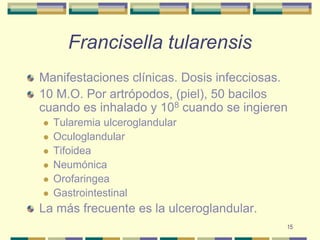 15Francisella tularensisManifestaciones clínicas. Dosis infecciosas.10 M.O. Por artrópodos, (piel), 50 bacilos cuando es inhalado y 108 cuando se ingierenTularemia ulceroglandularOculoglandularTifoideaNeumónicaOrofaringeaGastrointestinalLa más frecuente es la ulceroglandular. 