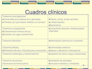 16Cuadros clínicos