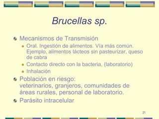 21Brucellas sp.Mecanismos de TransmisiónOral. Ingestión de alimentos. Vía más común. Ejemplo, alimentos lácteos sin pasteurizar, queso de cabraContacto directo con la bacteria, (laboratorio)InhalaciónPoblación en riesgo: veterinarios, granjeros, comunidades de áreas rurales, personal de laboratorio.Parásito intracelular
