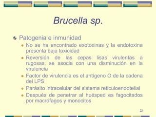 22Brucella sp.Patogenia e inmunidadNo se ha encontrado exotoxinas y la endotoxina presenta baja toxicidadReversión de las cepas lisas virulentas a rugosas, se asocia con una disminución en la virulenciaFactor de virulencia es el antígeno O de la cadena del LPSParásito intracelular del sistema reticuloendotelialDespués de penetrar al huésped es fagocitados por macrófagos y monocitos 
