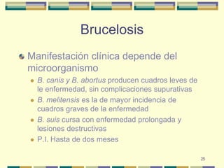 25BrucelosisManifestación clínica depende del microorganismoB. canis y B. abortus producen cuadros leves de le enfermedad, sin complicaciones supurativasB. melitensis es la de mayor incidencia de cuadros graves de la enfermedadB. suis cursa con enfermedad prolongada y lesiones destructivas P.I. Hasta de dos meses