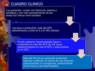 Los pacientes cursan con febrícula, astenia y
artralgias y son más características de las
áreas con menor nivel sanitario.
tos seca o productiva, más del 20%
estreñimiento y entre el 5 y el 10% diarrea.
Puede palparse hepatomegalia ligera o
moderada en más del 50% de los casos,
esplenomegalia en casi el 50% y adenopatías
en el 25%.
Más del 5% de los pacientes presentan
lesiones cutáneas, en forma de una erupción
papulonodular no pruriginosa, predominante
en el tronco y las extremidades;
CUADRO CLINICO
 
