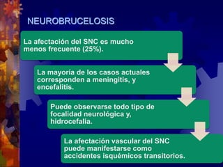 La afectación del SNC es mucho
menos frecuente (25%).
La mayoría de los casos actuales
corresponden a meningitis, y
encefalitis.
Puede observarse todo tipo de
focalidad neurológica y,
hidrocefalia.
La afectación vascular del SNC
puede manifestarse como
accidentes isquémicos transitorios.
NEUROBRUCELOSIS
 