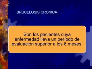 Son los pacientes cuya
enfermedad lleva un período de
evaluación superior a los 6 meses.
BRUCELOSIS CRONICA
 