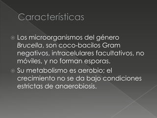 Los microorganismos del género
  Brucella, son coco-bacilos Gram
  negativos, intracelulares facultativos, no
  móviles, y no forman esporas.
 Su metabolismo es aerobio; el
  crecimiento no se da bajo condiciones
  estrictas de anaerobiosis.
 