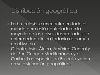    La brucelosis se encuentra en todo el
    mundo pero está controlada en la
    mayoría de los países desarrollados. La
    enfermedad clínica todavía es común
    en el Medio
    Oriente, Asia, África, América Central y
    del Sur, Cuenca Mediterránea y el
    Caribe. Las especies de Brucella varían
    en su distribución geográfica.
 
