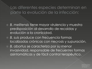    B. melitensis tiene mayor virulencia y muestra
    predisposición al desarrollo de recaídas y
    evolución a la cronicidad.
   B. suis produce con frecuencia formas
    localizadas crónicas con necrosis y supuración.
   B. abortus se caracteriza por su menor
    invasividad, responsable de frecuentes formas
    asintomáticas y de fácil control terapéutico.

                                                Medicina Interna
                                                Farreras Rozman
                                                16ª Edición
 