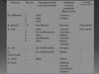 Especie      Biovar    Patogenicidad        Huésped       Contagio
                                                            ocupacional
                          para el hombre        natural
                                              preferido
                                             (Reservorio)
B. melitensis   1        Alta               Cabra y         …
                2        Alta               ovejas
                3        Alta
B. abortus      1-7      Moderada           Bovinos         Frecuente
B. susis        1        Alta               Cerdos          Frecuente
                2        Sin notificación   Cerdos y
                3        Alta               liebres
                4        Moderada           Cerdos
                5        Alta               Renos
                                            Cerdos
B. ovis         …        Sin notificación   Ovejas          …
B.              …        Sin notificación   Ratas           …
neotomae
B. canis        …        Baja               Perros          …
B. maris        …        …                  Delfines        …
                                            Morsas
                                            Mamíferos
                                            marinos
 