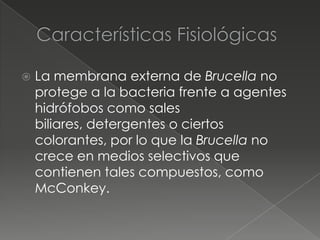    La membrana externa de Brucella no
    protege a la bacteria frente a agentes
    hidrófobos como sales
    biliares, detergentes o ciertos
    colorantes, por lo que la Brucella no
    crece en medios selectivos que
    contienen tales compuestos, como
    McConkey.
 