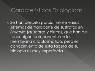    Se han descrito parcialmente varios
    sistemas de transporte de sustratos en
    Brucella (azúcares y hierro), que han de
    tener algún componente en la
    membrana citoplasmática, pero el
    conocimiento de esta faceta de su
    biología es muy imperfecta
 