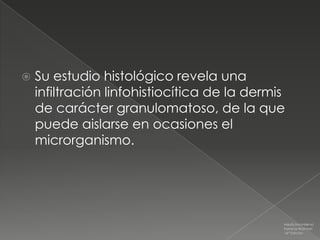    Su estudio histológico revela una
    infiltración linfohistiocítica de la dermis
    de carácter granulomatoso, de la que
    puede aislarse en ocasiones el
    microrganismo.




                                              Medicina Interna
                                              Farreras Rozman
                                              16ª Edición
 