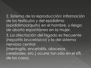 2. Sistema de la reproducción: inflamación
de los testículos y del epidídimo
(epidídimoorquitis) en el hombre, y riesgo
de aborto espontáneo en la mujer.
3. La afectación del hígado es frecuente
(hepatitis brucelósica) y la del sistema
nervioso central
(meningitis, encefalitis, abscesos
cerebrales, etc.) ocurre tan sólo en el 6%
de los casos.
 