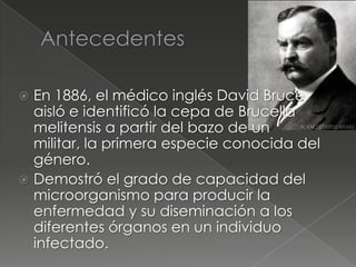  En 1886, el médico inglés David Bruce
  aisló e identificó la cepa de Brucella
  melitensis a partir del bazo de un
  militar, la primera especie conocida del
  género.
 Demostró el grado de capacidad del
  microorganismo para producir la
  enfermedad y su diseminación a los
  diferentes órganos en un individuo
  infectado.
 