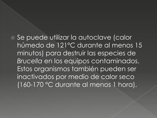   Se puede utilizar la autoclave (calor
    húmedo de 121°C durante al menos 15
    minutos) para destruir las especies de
    Brucella en los equipos contaminados.
    Estos organismos también pueden ser
    inactivados por medio de calor seco
    (160-170 °C durante al menos 1 hora).
 