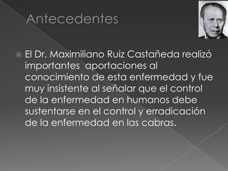    El Dr. Maximiliano Ruiz Castañeda realizó
    importantes aportaciones al
    conocimiento de esta enfermedad y fue
    muy insistente al señalar que el control
    de la enfermedad en humanos debe
    sustentarse en el control y erradicación
    de la enfermedad en las cabras.
 