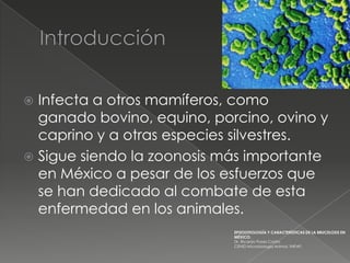  Infecta a otros mamíferos, como
  ganado bovino, equino, porcino, ovino y
  caprino y a otras especies silvestres.
 Sigue siendo la zoonosis más importante
  en México a pesar de los esfuerzos que
  se han dedicado al combate de esta
  enfermedad en los animales.
                            EPIZOOTIOLOGÍA Y CARACTERÍSTICAS DE LA BRUCELOSIS EN
                            MÉXICO.
                            Dr. Ricardo Flores Castro
                            CENID Microbiología Animal, INIFAP,
 