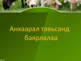Анхаарал тавьсанд
баярлалаа

 