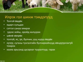 Илрэх гол шинж тэмдэгүүд
•
•
•
•
•
•
•

Толгой өвдөх
ядарч сульдах
сэтгэл санаа хямрах
үдээс хойш, оройд халуурах
шөнө хөлрөх
толгой, яс, үе, булчин, ууц нуруу өвдөх
хүзүү, суганы тунгалгийн булчирхайнууд хөндүүрлэхгүй
томрох
• хааяа арьсанд цусархаг тууралтууд гарах

 