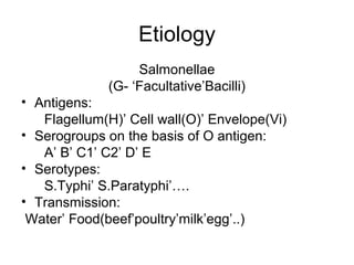 Etiology
Salmonellae
(G- ‘Facultative’Bacilli)
• Antigens:
Flagellum(H)’ Cell wall(O)’ Envelope(Vi)
• Serogroups on the ba...
