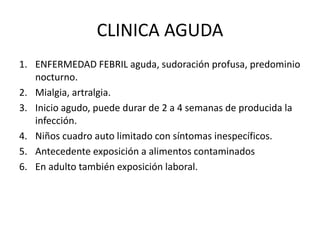 CLINICA AGUDA
1. ENFERMEDAD FEBRIL aguda, sudoración profusa, predominio
nocturno.
2. Mialgia, artralgia.
3. Inicio agudo, puede durar de 2 a 4 semanas de producida la
infección.
4. Niños cuadro auto limitado con síntomas inespecíficos.
5. Antecedente exposición a alimentos contaminados
6. En adulto también exposición laboral.
 
