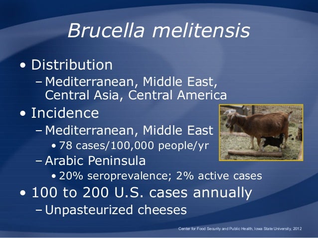 Brucellosis Brucellosis In Cattle