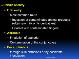 Portals of entry
 Oral entry
 Most common route
 Ingestion of contaminated animal products
(often raw milk or its derivatives)
 Contact with contaminated fingers
 Aerosols
 Inhalation of bacteria
 Contamination of the conjunctivae
 Per cutaneous
 through skin abrasions or by accidental
inoculation Aboubakr Elnashar
 