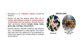 brucellosis.pptx