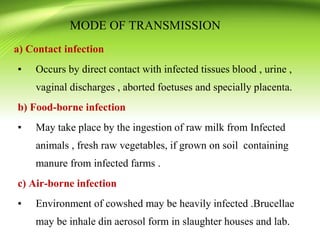 a) Contact infection
▪ Occurs by direct contact with infected tissues blood , urine ,
vaginal discharges , aborted foetuses and specially placenta.
b) Food-borne infection
▪ May take place by the ingestion of raw milk from Infected
animals , fresh raw vegetables, if grown on soil containing
manure from infected farms .
c) Air-borne infection
▪ Environment of cowshed may be heavily infected .Brucellae
may be inhale din aerosol form in slaughter houses and lab.
MODE OF TRANSMISSION
 