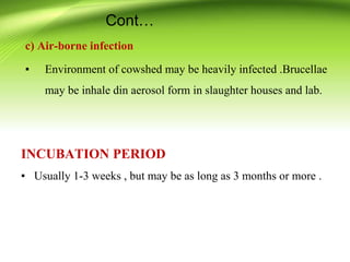 c) Air-borne infection
▪ Environment of cowshed may be heavily infected .Brucellae
may be inhale din aerosol form in slaughter houses and lab.
INCUBATION PERIOD
▪ Usually 1-3 weeks , but may be as long as 3 months or more .
Cont…
 