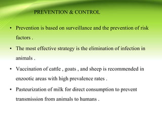 • Prevention is based on surveillance and the prevention of risk
factors .
▪ The most effective strategy is the elimination of infection in
animals .
▪ Vaccination of cattle , goats , and sheep is recommended in
enzootic areas with high prevalence rates .
▪ Pasteurization of milk for direct consumption to prevent
transmission from animals to humans .
PREVENTION & CONTROL
 