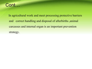 In agricultural work and meet processing protective barriers
and correct handling and disposal of afterbirths ,animal
carcasses and internal organ is an important prevention
strategy.
Cont…
 