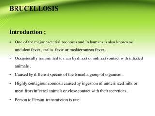 Introduction ;
• One of the major bacterial zoonoses and in humans is also known as
undulent fever , malta fever or mediterranean fever .
• Occasionally transmitted to man by direct or indirect contact with infected
animals .
• Caused by different species of the brucella group of organism .
• Highly contagious zoonosis caused by ingestion of unsterilized milk or
meat from infected animals or close contact with their secretions .
• Person to Person transmission is rare .
BRUCELLOSIS
 